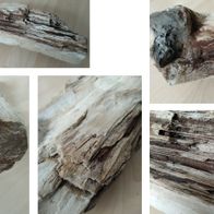 versteinertes Holz, 2860g, 33x8cm