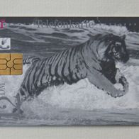 S 03 aus 1998, leer (Kennung S 03 04.98), "Esso - Tiger Wäsche“