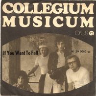 Collegium Musicum - If You Want To Fall (1972) 45 single 7" Opus