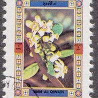 Umm al-Qaiwain 1061 A o #002571