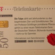 PD 7 aus 1998, leer (Kennung PD 7.98), "Die Tulpe"