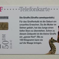 PD 4 aus 2001, leer (Kennung PD 4.01), "Die Giraffe"