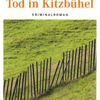 Buch - Edwin Haberfellner - Tod in Kitzbühel: Kriminalroman (NEU)