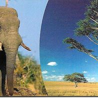 Telefonkarte A 10 von 2001 , Elefant , leer