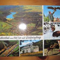 Hellenthal, Eifel, Wildfreigehege, Olaf See, Staumauer