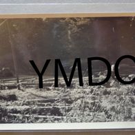Foto Wehrmacht Panzer Tank Nummer Vormarsch Frankreich France 1940 Wk 2