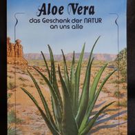 Aloe Vera Das Geschenk der Natur an uns alle Finnegan Schmid