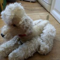 Vintage Steiff Hund Pudel mit Glöckchen + Halsband ohne Knopf 35cm stehend 60er