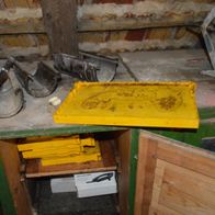 Nordwabe Normalmaß Classic DNM 10 Stück - Imker Bienen Kunstoff-Waben Mittelwände