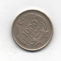 Münze Türkei 1000 Lira 1991