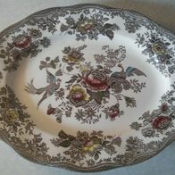 Servierplatte Enoch Wedgwood Asiatic Pheasants braun 35,5x28,5cm oval Oriental