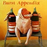 Burst Appendix - Fly MLP (1989) Human Wrechords / Punk / Hardcore