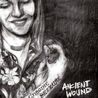 Chronic Seizure - Ancient wound LP (2008) + Insert / No Way Records / US HC-Punk