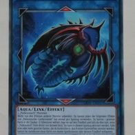 LIOV-DE047, Paläozoischer Cambroraster, 1. Auflage (T*)