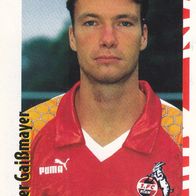 1. FC Köln Panini Sammelbild 1998 Holger Gaißmayer Bildnummer 272