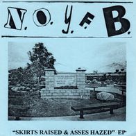 None Of Your Fucking Business - Skirts raised & Asses hazed 7" (2002) US Noisecore