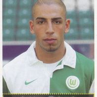 VFL Wolfsburg Panini Sammelbild 2007 Ashkan Dejagah Bildnummer 490