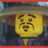 Lego Ninjago Sammelbild 2017 Bildnummer 169