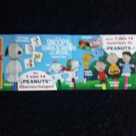 Fremdfiguren / Zweifel Beipackzettel Peanuts 2016