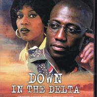 Down in the Delta