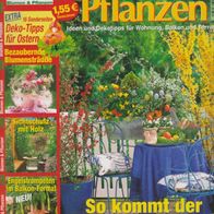Lisa Heft Blumen und Pflanzen März 2002