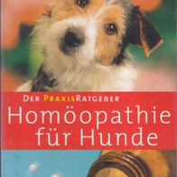 Homöopathie für Hunde