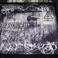 Dub Syndicate - 93 Struggle * * * 10" UK 1993