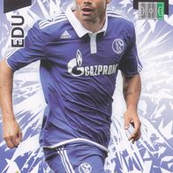 Schalke 04 Panini Trading Card Champions League 2010 Edu Nr.294
