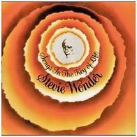 Stevie Wonder- songs in the key of life-Vol 1 und 2
