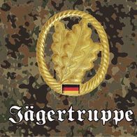 Tätigkeitsabzeichen Der Bundeswehr, Flecktarn Mit Schwarzem Stick