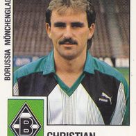 Borussia Mönchengladbach Panini Sammelbild 1988 Christian Hochstätter Bildnummer 230