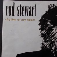 Vinyl-Single: Rod Stewart: Rhythm Of My Heart / Moment Of Glory