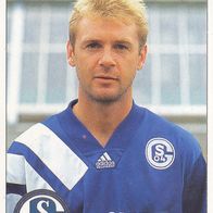 Schalke 04 Panini Sammelbild 1995 Dieter Eckstein Bildnummer 234