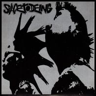Space To Being / Taste Of Flesh - Split 7" (2004) + Insert / HC-Punk / Powerviolence