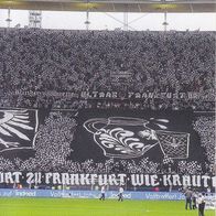 Eintracht Frankfurt Topps Sammelbild 2020 Fan-Choreo Bild 2 Bildnummer 143