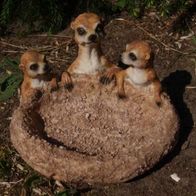 Erdmännchen Deko Figur Futterschale 20cm Vogeltränke Garten wetterfest