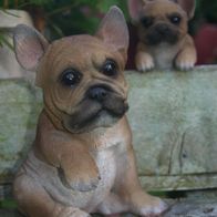 Deko französische Bulldogge sitz Gartenfigur Figur Hund Skulptur 