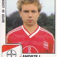 Bayer Leverkusen Panini Sammelbild 1988 Andrzej Buncol Bildnummer 190