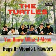 The Turtles - You Know What I Mean / Rugs Of Woods & F.. -7"- London DL 20 843(D)1967