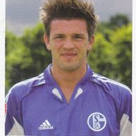 Schalke 04 Panini Sammelbild 2005 Zlatan Bajramovic Bildnummer 186