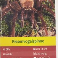 Entdecke Brasilien. Sammelbild Riesenvogelspinne Nr.26