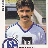 Schalke 04 Panini Sammelbild 1988 Wilfried Hannes Bildnummer 275