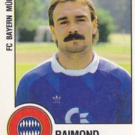 Bayern München Panini Sammelbild 1988 Raimond Aumann Nr.238