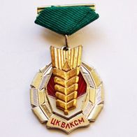 UdSSR Komsomol Medaille - Für erschließung des Neulands