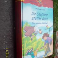 Die Cityflitzer starten durch von Marliese Arold