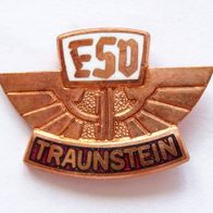 BRD ESV Traunstein - Fussball Anstecknadel