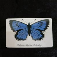 Telefonkarte Schmetterling Schwarzflecken Bläuling * auch and. Karten vorhanden