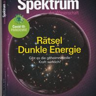 Spektrum der Wissenschaft 5.20