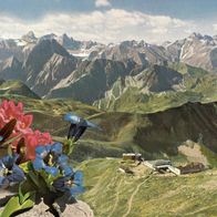 AK Nebelhorn Bergstation Allgäuer Alpen mit Blumen bei Oberstdorf in Farbe 1964