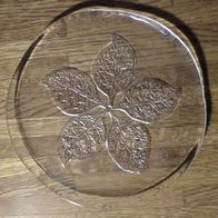 Glasteller Glas Teller mit 5 ausgebreiteten Blättern Baum Blatt Blätter Ø20,5cm
